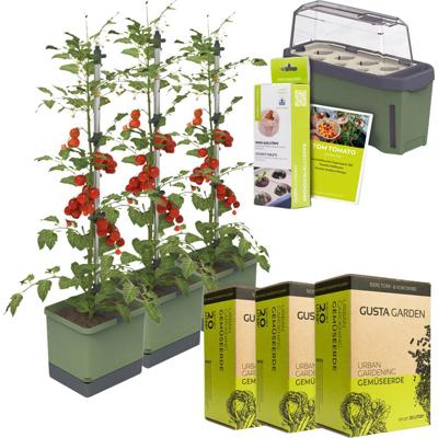 Gusta Garden Tomaten-Power-Set 9-teilig dunkelgrün TOM TOMATO / HARRY HERBS / Zubehör / W07068 Plantcontainer