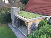 Plantenmat vasteplanten cassette Vetkruid Sedum dak prijs per 1m2 cm Covergreen - Covergreen