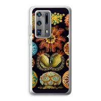 Haeckel Ascidiae: Huawei P40 Pro Plus Transparant Hoesje