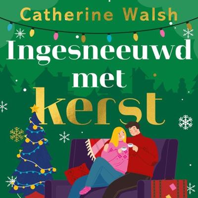 Ingesneeuwd met kerst