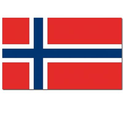Vlag van Noorwegen - 90 x 150 cm - feestartikelen - landen thema - supporters - versiering