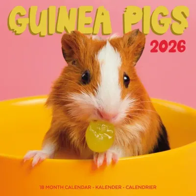 Cavia Studio Kalender 2026