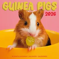 Cavia Studio Kalender 2026