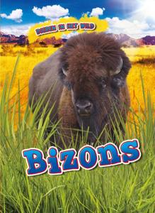 Bizons (Hardback)