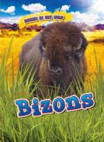 Bizons (Hardback)