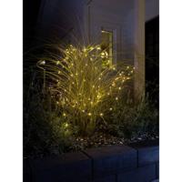 Konstsmide 6597-879 Micro-lichtketting met app-besturing Druppel Buiten Energielabel: G (A - G) werkt op het lichtnet Aantal lampen 100 LED Barnsteen Verlichte - thumbnail