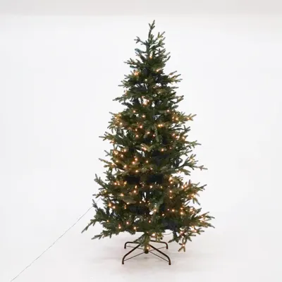 Kerstboom meran 384l d137h215 groen