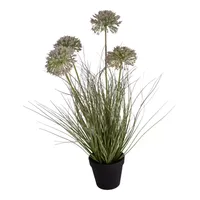 Allium gras 4 toppen h57cm groen - thumbnail
