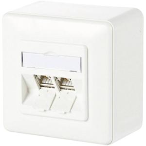 Metz Connect 130B11D20002-E Netwerkdoos Opbouw (op muur) CAT 6A 2 poorten Zuiver wit