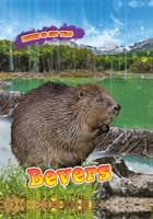 Bevers (Hardback)