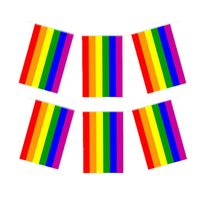 Regenboog vlaggenlijn 2x stuks van 7 meter - Vlaggenlijnen - thumbnail