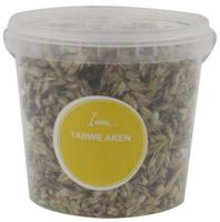 TARWE AREN
