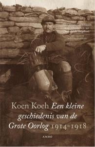 Een kleine geschiedenis van de Grote Oorlog 1914-1918 (Paperback)