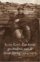 Een kleine geschiedenis van de Grote Oorlog 1914-1918 (Paperback)