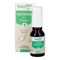 Herbalgem Vijgenboom Bio Spray 15ml - thumbnail