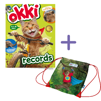 Okki | Jaar Basis