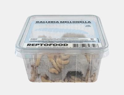 Reptofood Reptofood Wasmotten Doos