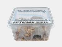 Reptofood Reptofood Wasmotten Doos