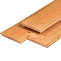 Wisselsponning Red Class Wood 1,8x19,5x300 cm Tuindeco - Tuindeco
