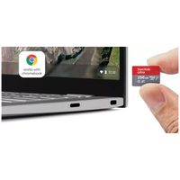 SanDisk MicroSDXC Ultra 256GB voor Chromebooks Micro SD-kaart Grijs SanDisk MicroSDXC Ultra 256GB voor Chromebooks Micro SD-kaart Grijs