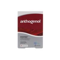 Masqueliers Anthogenol Masqueliers Anthogenol