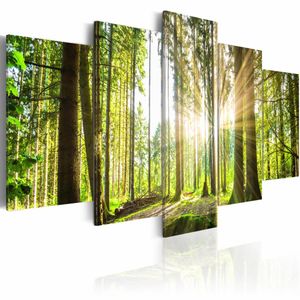 Schilderij - Koninklijk Bos , Groen/Bruin, 5luik , premium print op canvas