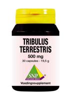 Tribulus terrestris 500 mg - thumbnail