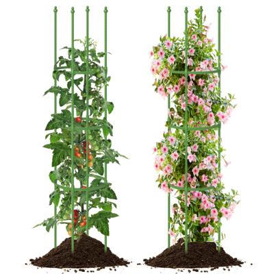 2-Delige Set Tomatensteun met Verstelbare Hoogte & 6 Ringen Tomatenkooi Plantenkooi