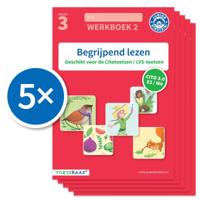 Begrijpend lezen werkboek 2 (Set van 5) (Paperback)