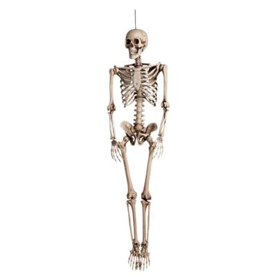 Halloween skelet - 92 cm - hangend skelet - halloween decoratie - hangend - skelet