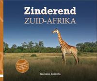 Zinderend Zuid-Afrika (Hardback)