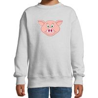 Cartoon varken trui grijs voor jongens en meisjes - Cartoon dieren sweater kinderen 14-15 jaar (170/176)  -