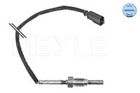 Sensor, uitlaatgastemperatuur 1148000234