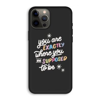 Right Place: iPhone 12 Pro Max Biologisch afbreekbaar hoesje