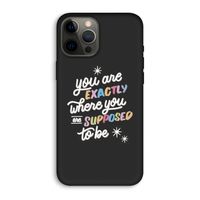 Right Place: iPhone 12 Pro Max Biologisch afbreekbaar hoesje