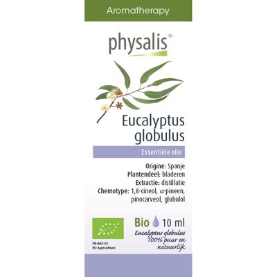 Physalis Eucalyptus Globulus Olie 10ml