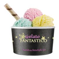 Gelato Fantastico - Beker - 50x 120ml