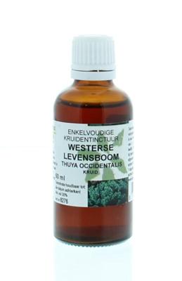 Natura Sanat Thuja occidentalis / levensboom tinctuur