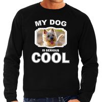 Cairn terrier honden sweater / trui my dog is serious cool zwart voor heren