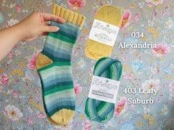 Scheepjes Summer Sock-A-Long Garenpakket Kleuroptie 5 Alexandria/Leafy Suburb Maat 39-47