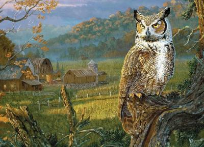 Edge of the Night Puzzel 1000 Stukjes