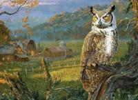 Edge of the Night Puzzel 1000 Stukjes