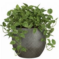 Mica decorations Bloempot / plantenpot Madeira - zilver - terracotta - 32 cm - schubbenpatroon