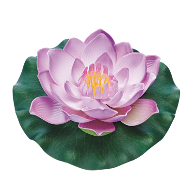 Pontec Pondolily paars