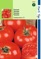 Tomaten Luxor Celebrity F1 Hybride - Hortitops Tomaten Luxor Celebrity F1 Hybride - Hortitops