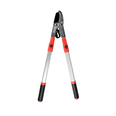 Takkenschaar - telescopisch 69-95 cm - 50 mm - aluminium - 3-traps