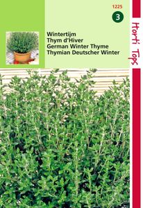 Tijm, Echte Winter Thymus Vulgaris - Hortitops
