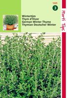 Tijm, Echte Winter Thymus Vulgaris - Hortitops
