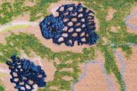 Moooi Carpets - Vloerkleed Transition Soft Yarn -