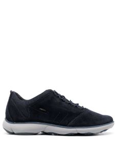 Geox baskets Nebula - Bleu